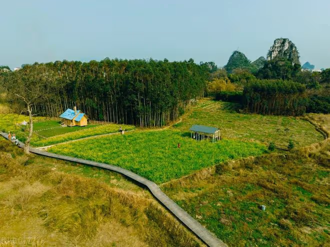 岳母生病，老婆想接來住幾天，老公卻搶先把母親接來，老婆回娘家