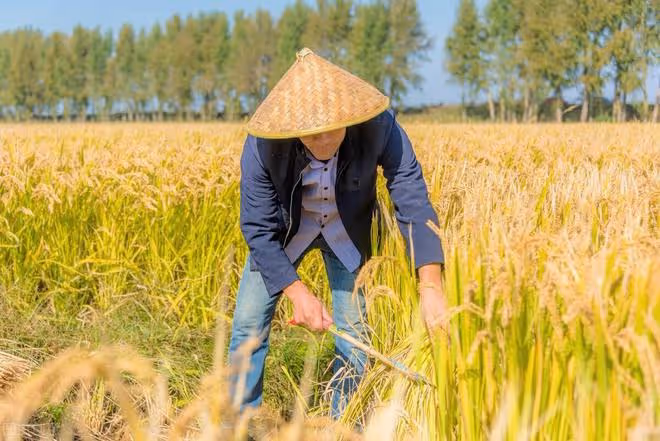 光棍入贅,將繼子養大以後被趕出家門,到底是什麼原因