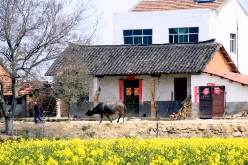 我家同鄰居10年不講話,結果我做了一件事,讓鄰居主動上門和好