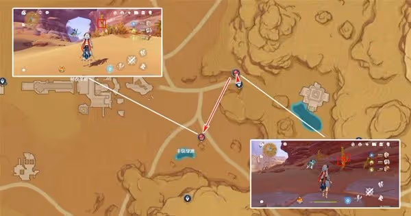 《原神》3.8版本赤念果採集路線分享