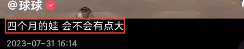 球球否認懷雙胞胎，懷孕4月肚子卻似6個月大，攜老公回娘家吃家宴