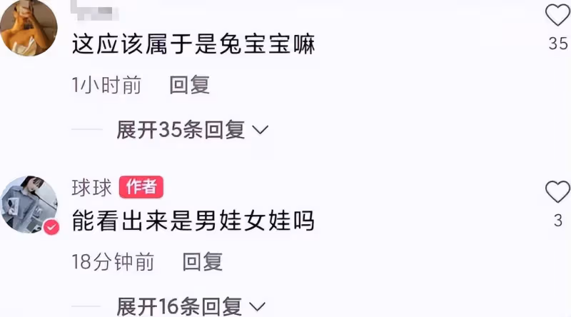 球球否認懷雙胞胎，懷孕4月肚子卻似6個月大，攜老公回娘家吃家宴