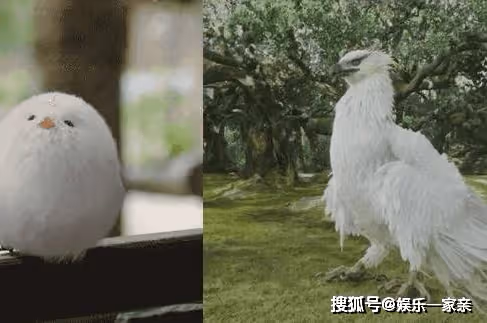 《長相思》小夭第幾集恢復王姬身份？《長相思》毛球和大鳥是一個鳥嗎？