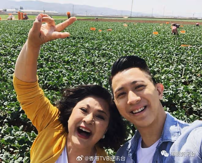 TVB視後被爆又有新戀情?男友是無線知名花旦之子