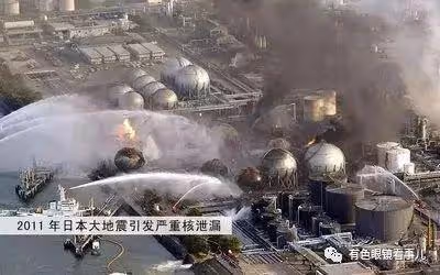 希望創立直接溝通平台,岸田政府欲讓中國為日本排海沉默