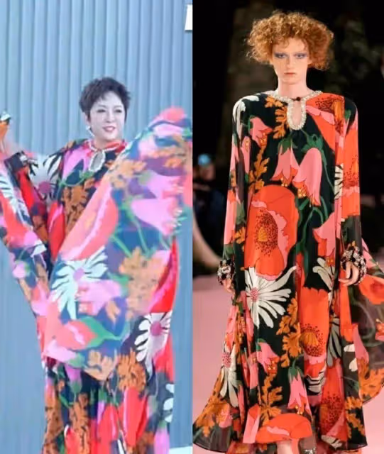向太才是真正貴婦,偏愛寬鬆又花哨的裙子,看似俗氣其實很上檔次