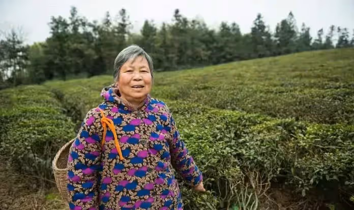 孫子即將上幼兒園,兒媳緊接著替我聯繫工作,我跟她提了3個條件