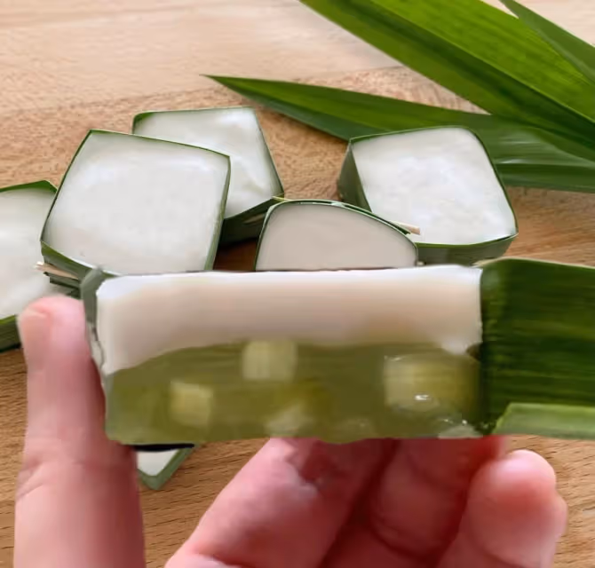 🍃香蘭椰汁馬蹄糕‼️🥥😋😋