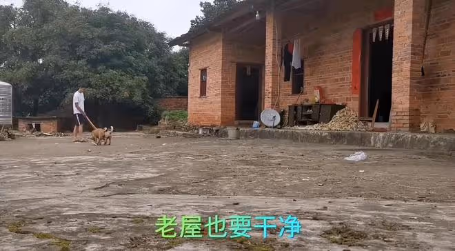 唐尚珺錄取最新進展:陪母親在家務農插秧,不再糾結上大學的事