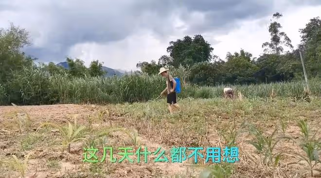 唐尚珺錄取最新進展:陪母親在家務農插秧,不再糾結上大學的事