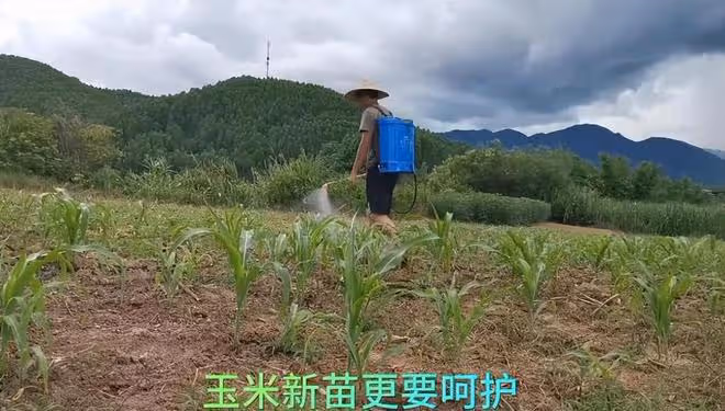唐尚珺錄取最新進展:陪母親在家務農插秧,不再糾結上大學的事