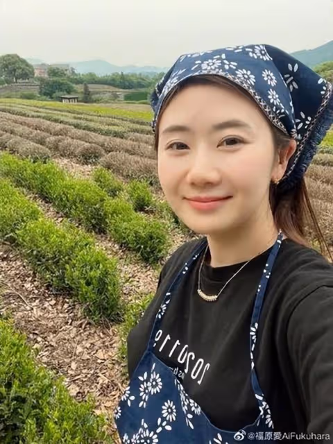 福原愛傳有演藝圈大佬撐腰?橫濱男正宮心碎:她一直在說謊