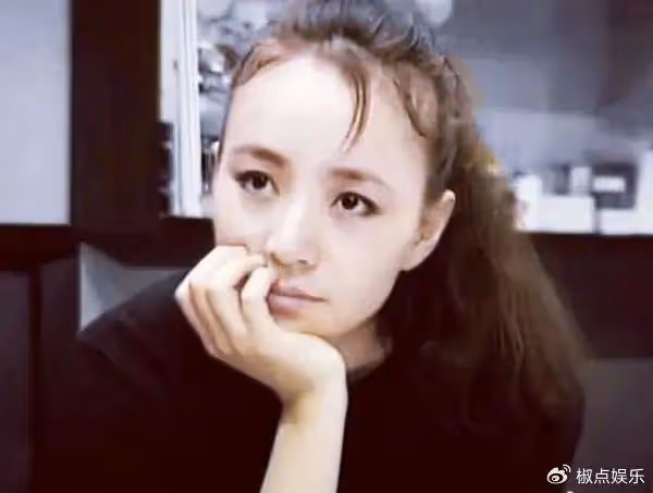英達:與宋丹丹離婚後,三婚娶了北大才女梁歡,看上了她的才華?