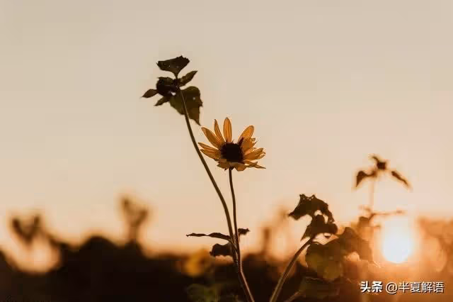 公公住院婆婆要求倆兒子平攤,大兒媳拒絕:分2套房咋不一家一套