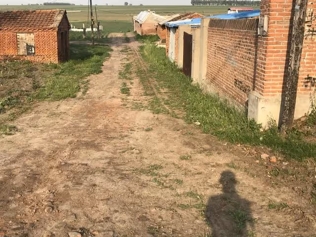 姑姑給我表弟在省城買了個房,從省城回來,姑姑的話讓我無語