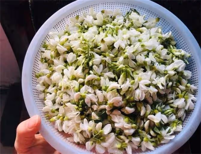 洋槐花怎麼吃才過癮？這幾種經典做法，一個比一個好吃，趕緊收藏