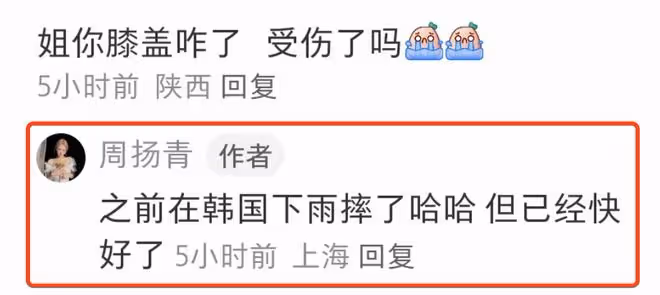 周揚青曬比基尼遊艇照,身材豐腴與海豚共游,膝蓋受傷惹粉絲擔憂