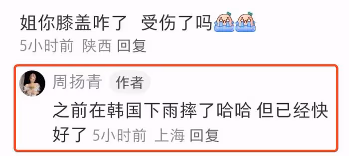 周揚青曬比基尼遊艇照,秀豐腴身材與海豚共游,膝蓋受傷惹粉絲擔憂