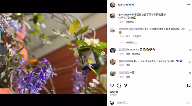 54歲上海演員移民新加坡,豪宅種菜養狗太愜意,已成當地主持一哥