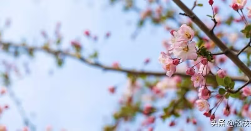 父親接來生病的奶奶，女兒帶媽媽出門旅遊留下一句話：誰的媽誰管