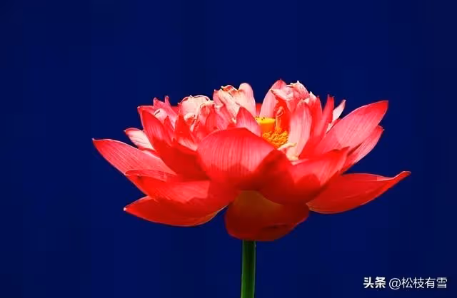 父親接來生病的奶奶,女兒帶媽媽出門旅遊留下一句話:誰的媽誰管