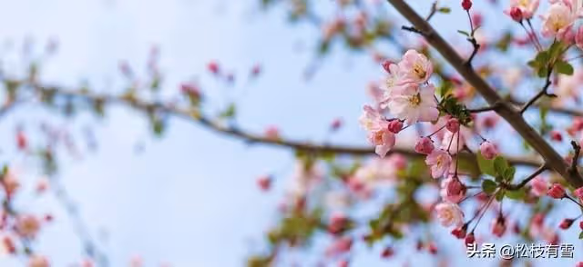 父親接來生病的奶奶,女兒帶媽媽出門旅遊留下一句話:誰的媽誰管