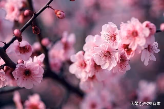 父親接來生病的奶奶,女兒帶媽媽出門旅遊留下一句話:誰的媽誰管