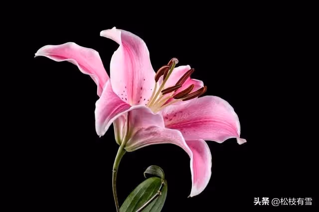 陪嫁六十萬不到半年被花光,母親怒罵女兒:以後你要飯我都不管