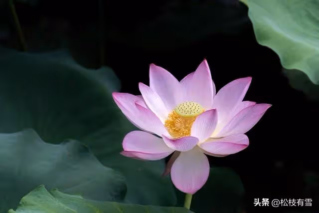 婆婆帶小叔子一家蹭吃蹭喝,老公用空氣招待他們被罵公公:做得對