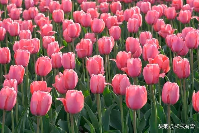 婆婆帶小叔子一家蹭吃蹭喝,老公用空氣招待他們被罵公公:做得對