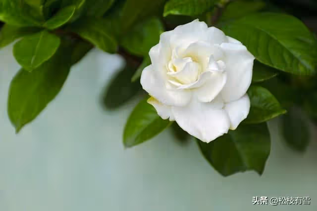 婆婆帶小叔子一家蹭吃蹭喝,老公用空氣招待他們被罵公公:做得對