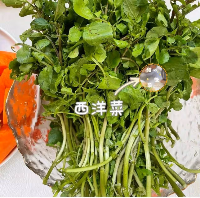 西洋菜豬骨湯|清肺潤燥,止咳化痰‼️