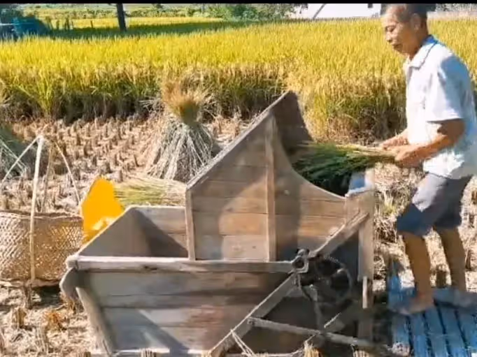 叔伯欺負我媽是寡婦,幾家人成了仇人,我結婚時摒棄前嫌請了他們播