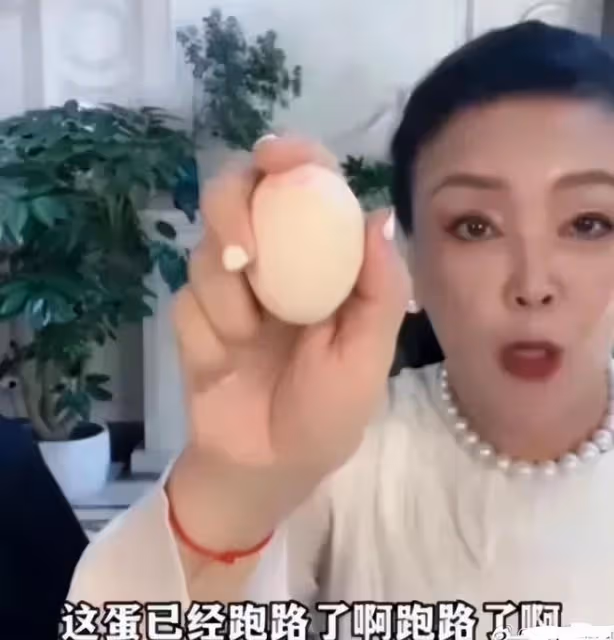 大S對張蘭和汪小菲提起訴訟,已正式向北京網際網路法院立案 
