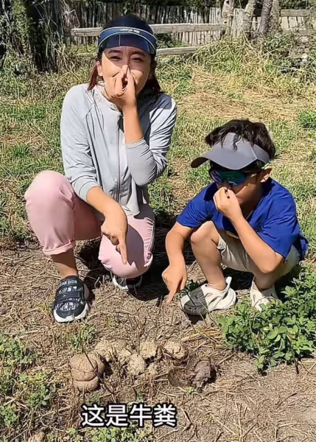 月亮姐姐攜兒子到農村!看牛糞抱山羊接地氣,愛子穿近2000元童裝