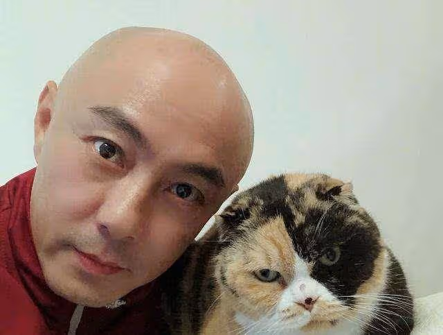 張衛健拍攝的《西遊記》,為何換成了陳浩民?還是離不開錢的問題