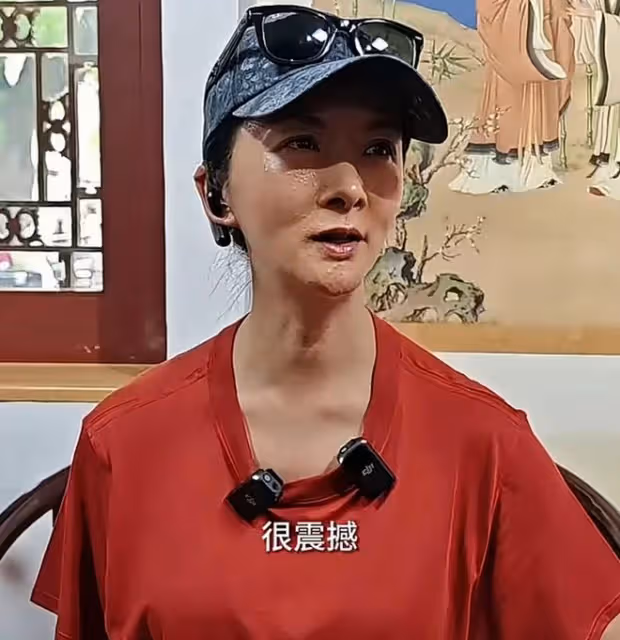50歲演員謝蘭被曝定居美國,低調回國近照變化大,臉泛油光不對稱