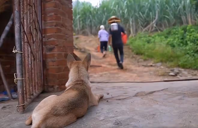 唐尚珺有了新計劃:暫時留在家照顧母親,不上大學帶母親去旅遊