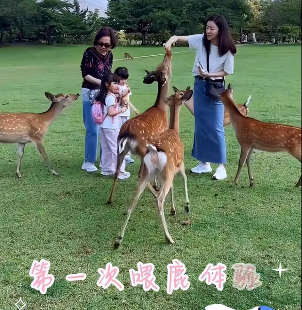 熊黛林為老公慶生,夫妻坐廉價渡輪接地氣,女方穿戴被指地攤貨