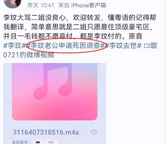 疑似李玟生前與二姐爭吵音頻曝光，二姐Nancy陷入爭議之中