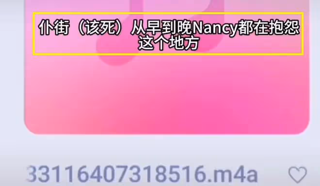 李玟生前錄音疑曝光!怒斥二姐吸血鬼,家人更多疑點曝光!