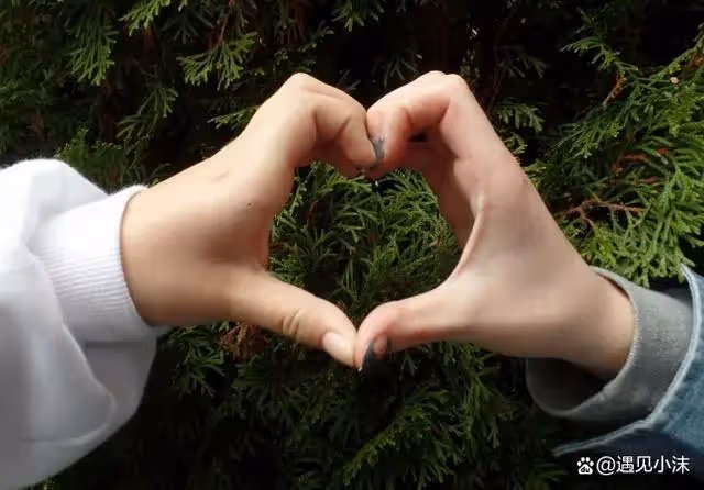 兒媳每月給婆婆2千，一年後婆婆逼兒子離婚：給2千貼5千，養不起播