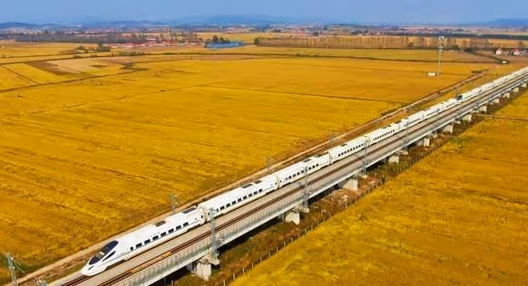暑假和老伴去旅遊，偶遇兒子和親家母后，我做了一個狠心的決定
