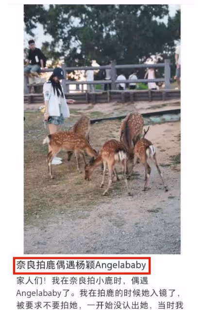 Angelababy戴18萬項鍊,機場懶理6歲兒子,剛和190cm弟弟日本旅遊