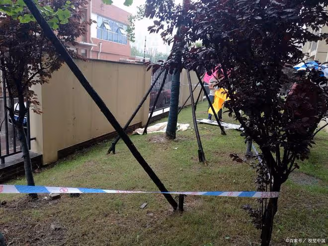 回顧50歲夫妻冒險生下龍鳳胎,到60歲無力撫養,夫妻雙雙跳樓墜亡