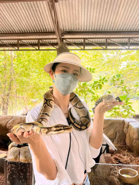林峯老婆曬一家三口旅行照,佘詩曼驚喜出鏡,小Luna露正臉像爸爸