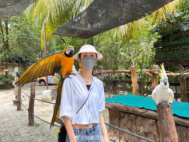 林峯老婆曬一家三口旅行照,佘詩曼驚喜出鏡,小Luna露正臉像爸爸