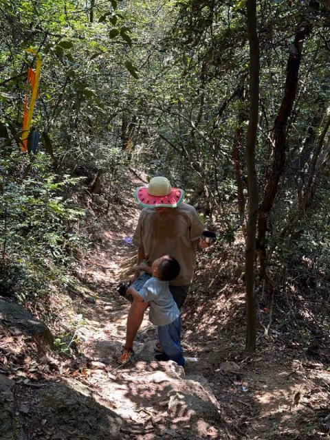 朱丹周一圍帶娃出遊,小小丹和弟弟罕見露臉,一個像媽一個像爸