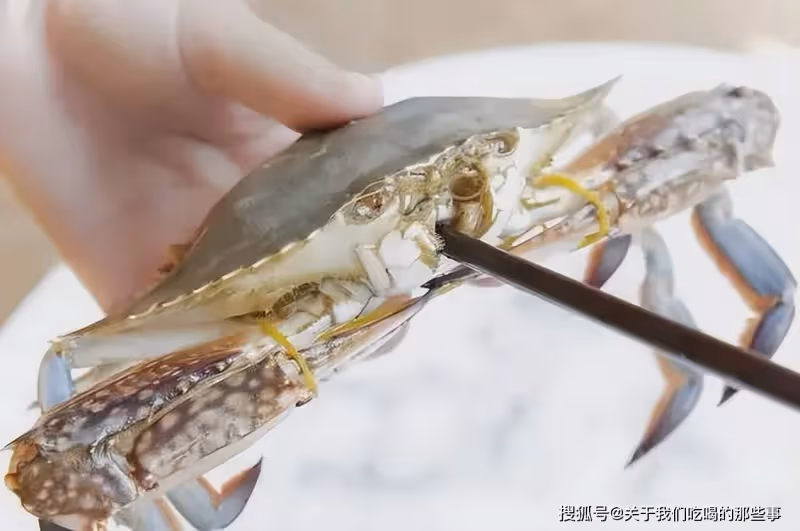 蒸螃蟹,冷水熱水區別大,牢記3個技巧,肉質鮮嫩,不掉腿不流黃