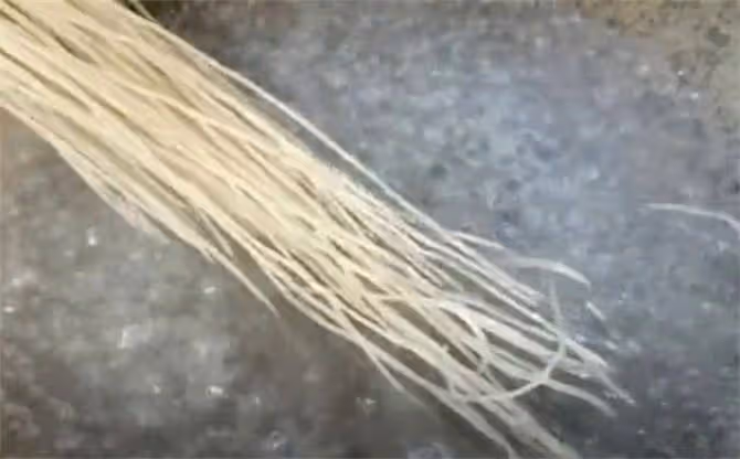 包子像我這樣做才省時省力,不用發麵不用等,個個鬆軟潔白不塌陷